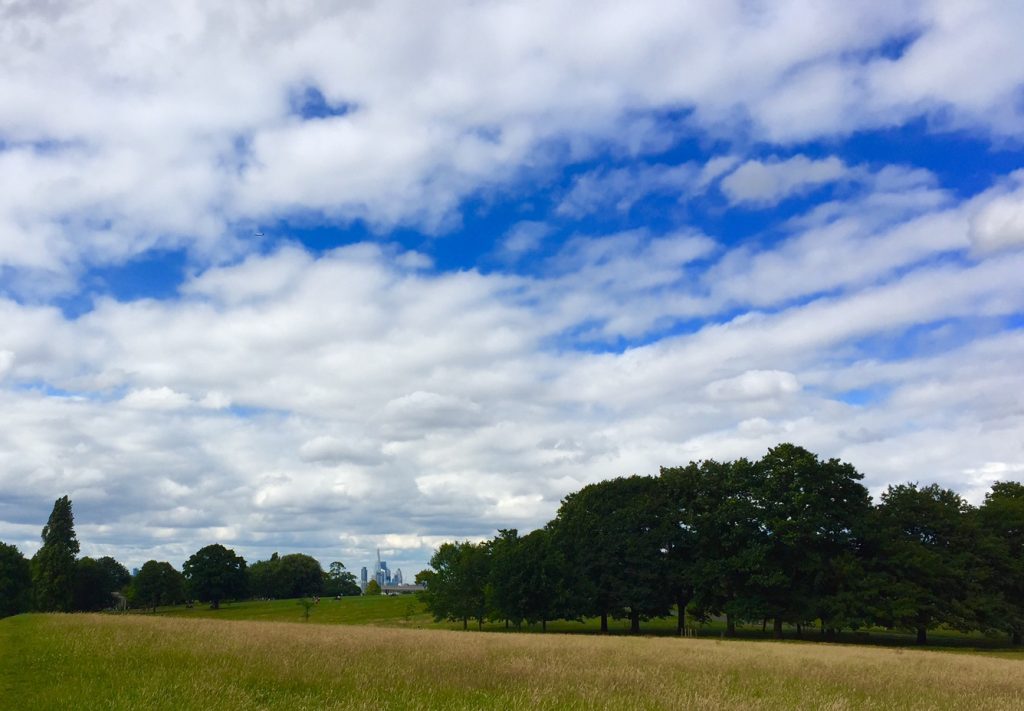 South London lifestyle family photographer Brockwell Park