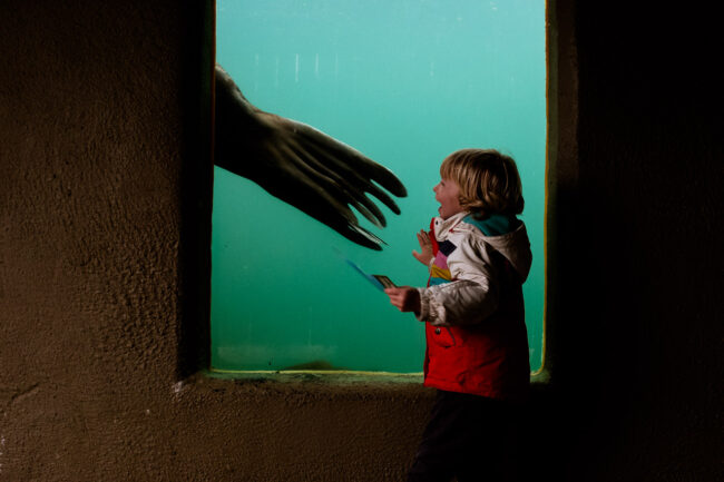 young boy in a colourful winter jacket laughs at a sealion swimming past a turquoise window on a vacation photography session in Cornwall, UK