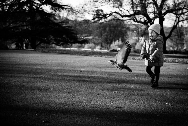Black and white photo of a young girl running after a pigeon on an autumn day in Horniman Gardens. Fun family photography Forest Hill