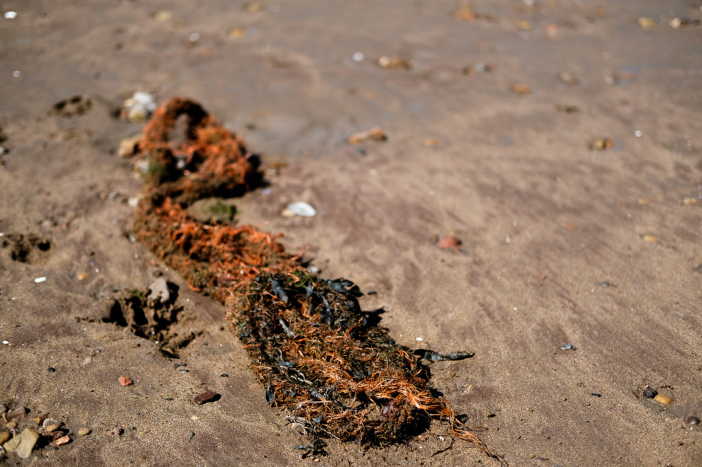 old orange Fishermans rope lying on the sand on the strandline at Whitby harbour