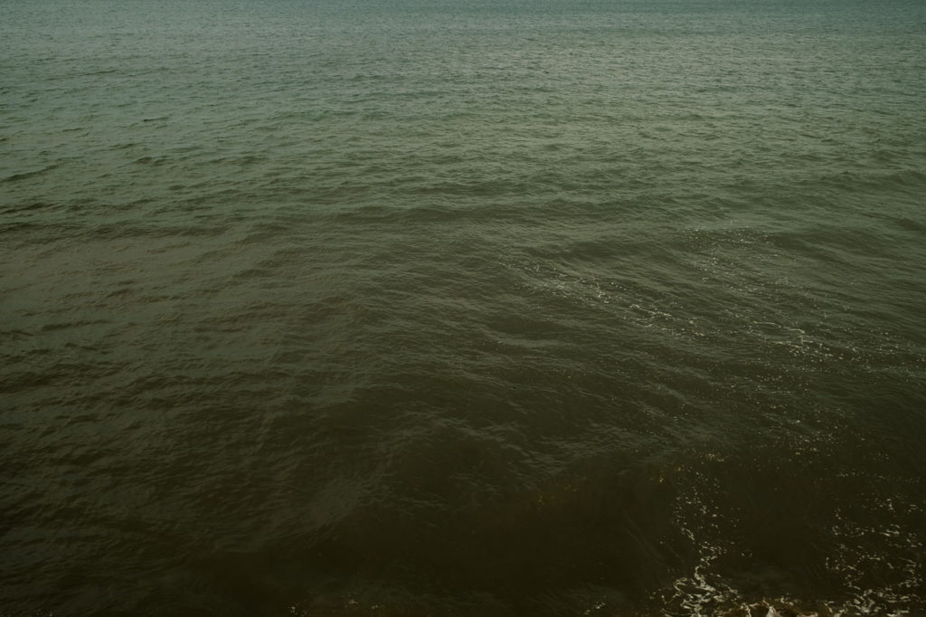 view of the sea in greens and browns at Filey North Yorkshire