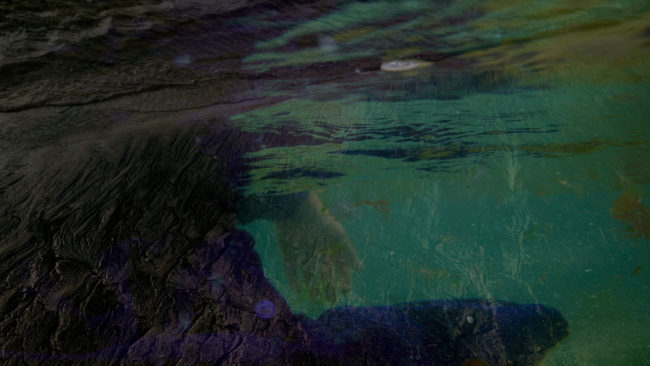 A figure floats underwater wearing a blue dress