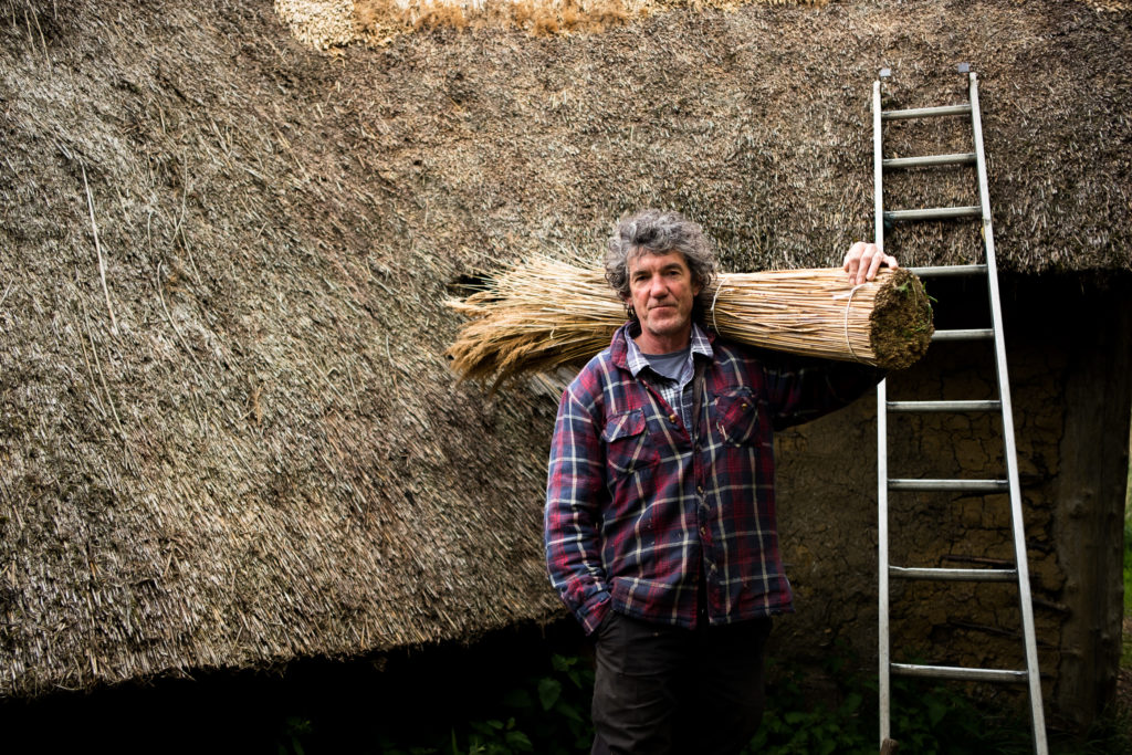 white male thatcher with grey hair standing beside a large thatched roof carrying a bundle of reeds with a ladder in background