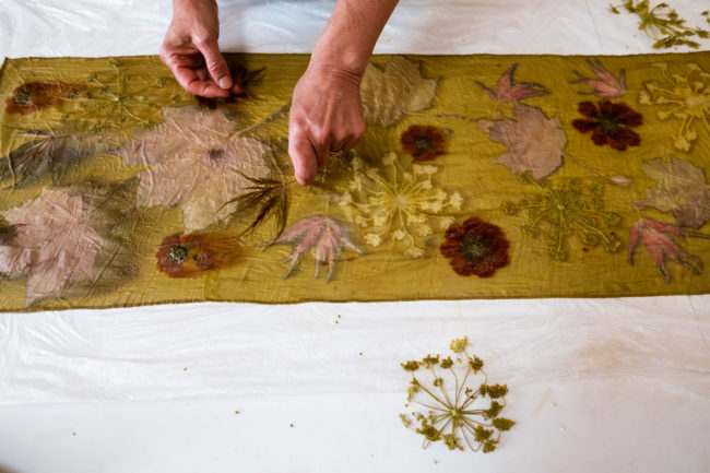 a lady's hands remove leaves and flowers from a bright yellow piece of fabric revealing the colours and shapes they have left behind