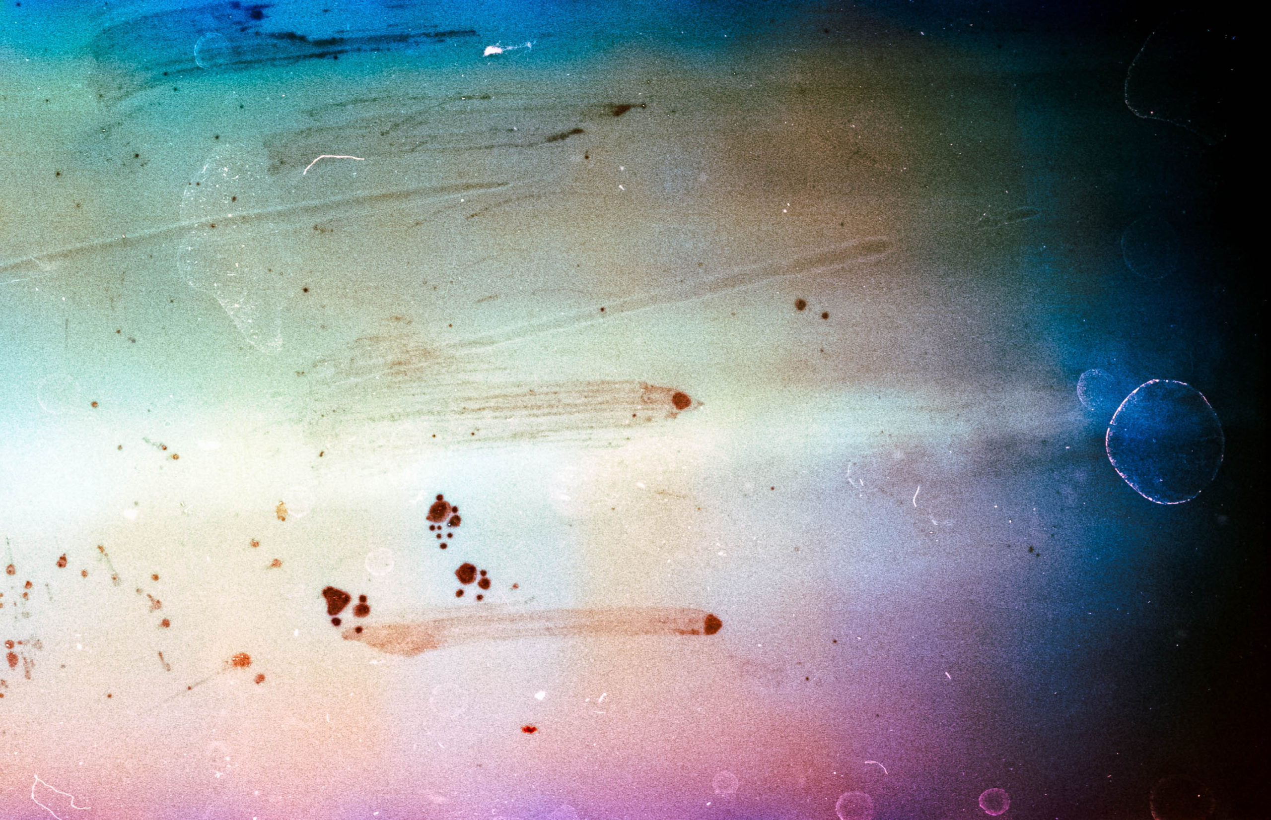 Artist Rachel Rimell Photographer Filmmaker North Yorkshire-5