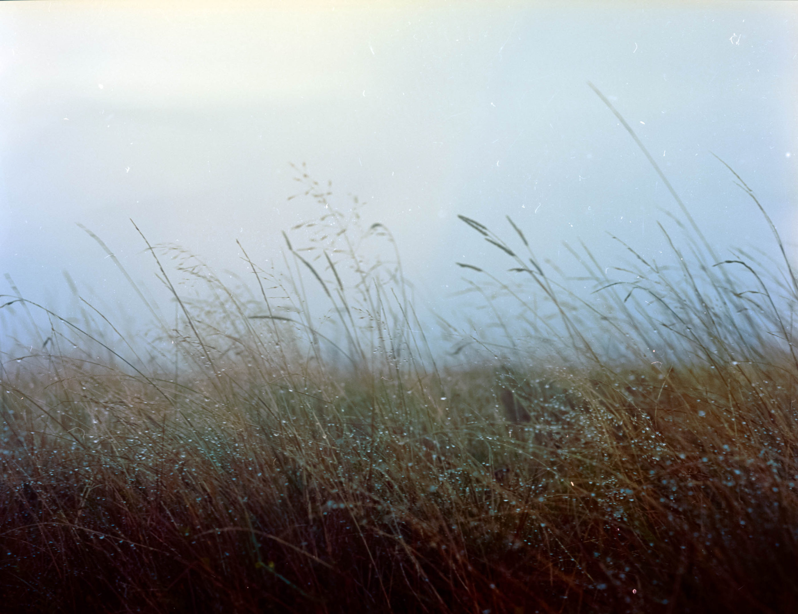 Artist Rachel Rimell Photographer Filmmaker North Yorkshire-8