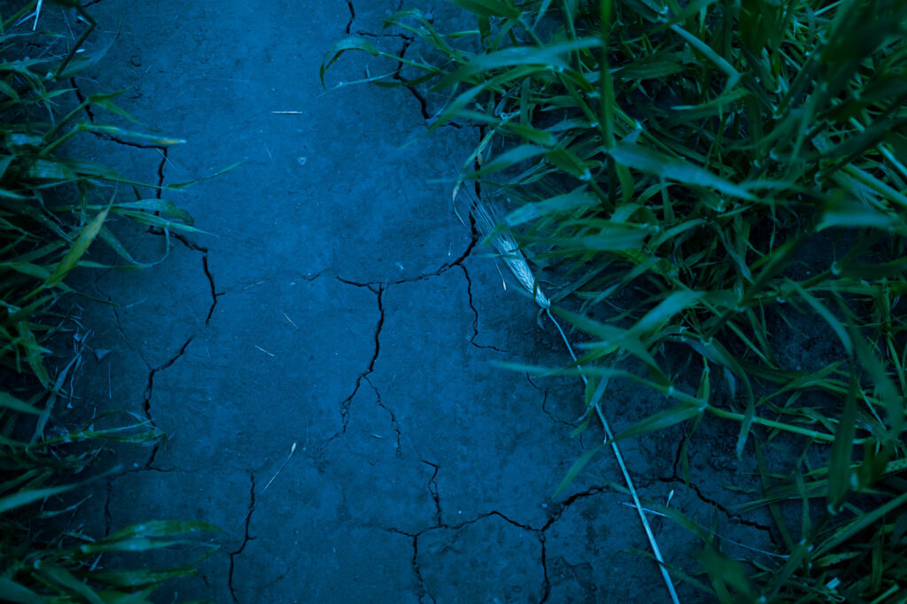 Photographic work exploring trespass and right to roam North Yorkshire. unnatural blue image of cracked earth