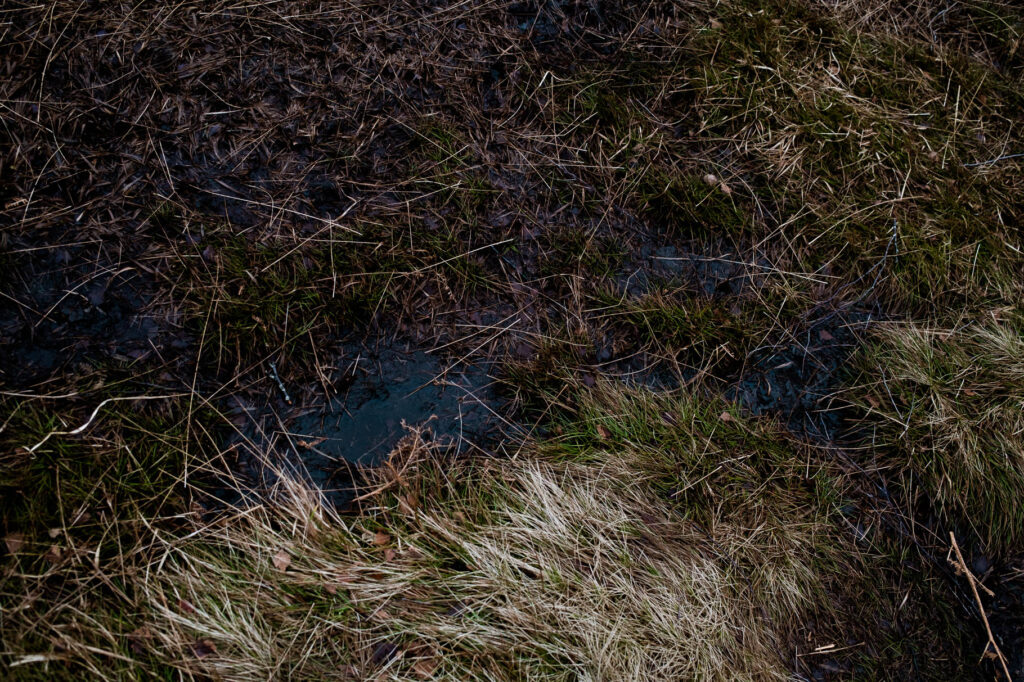 Photographic work exploring trespass and right to roam North Yorkshire. boggy ground