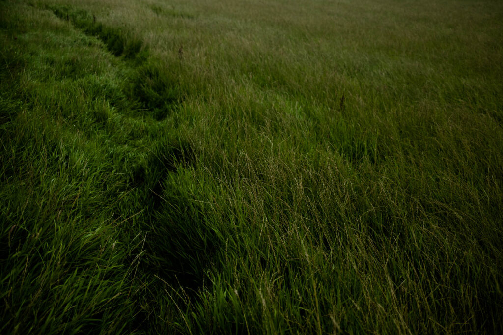 Photographic work exploring trespass and right to roam North Yorkshire