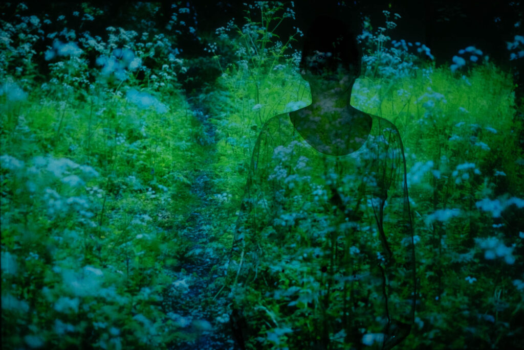 Photographic work exploring trespass and right to roam North Yorkshire. Hazy woodlamd with white flowers and over saturated green projected onto a woman standing within the landscape