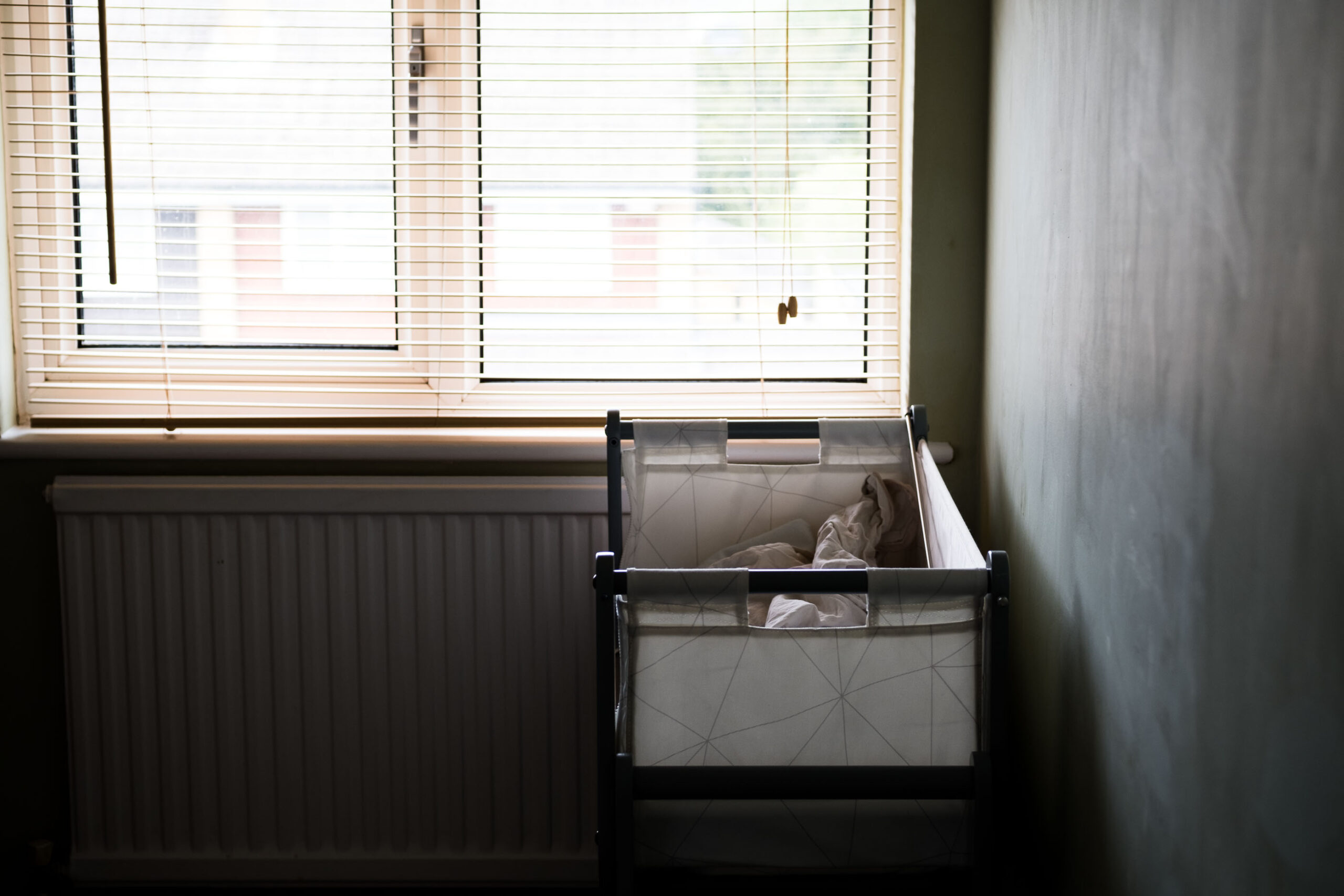 Pink_line_in_waiting